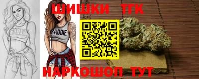 PSILOCYBIN Гай